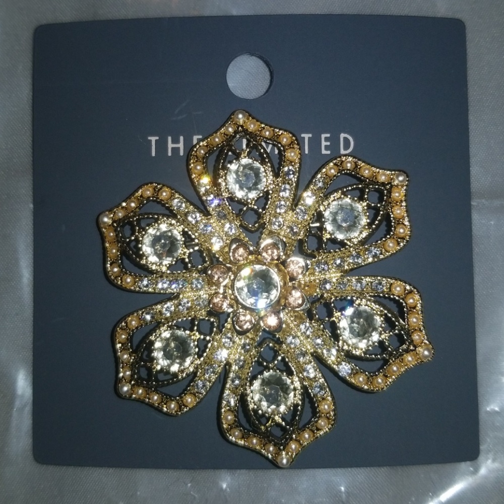 The Limited Pins